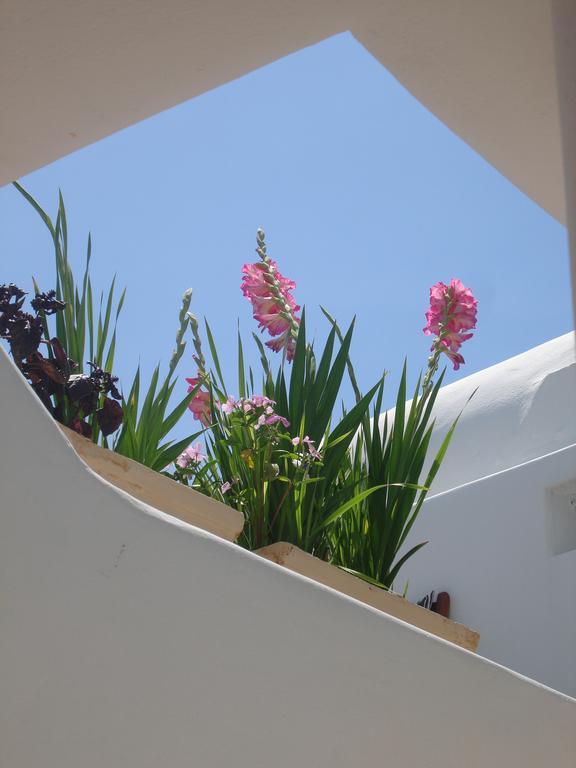 Hotel Philippi Mykonos Town 外观 照片