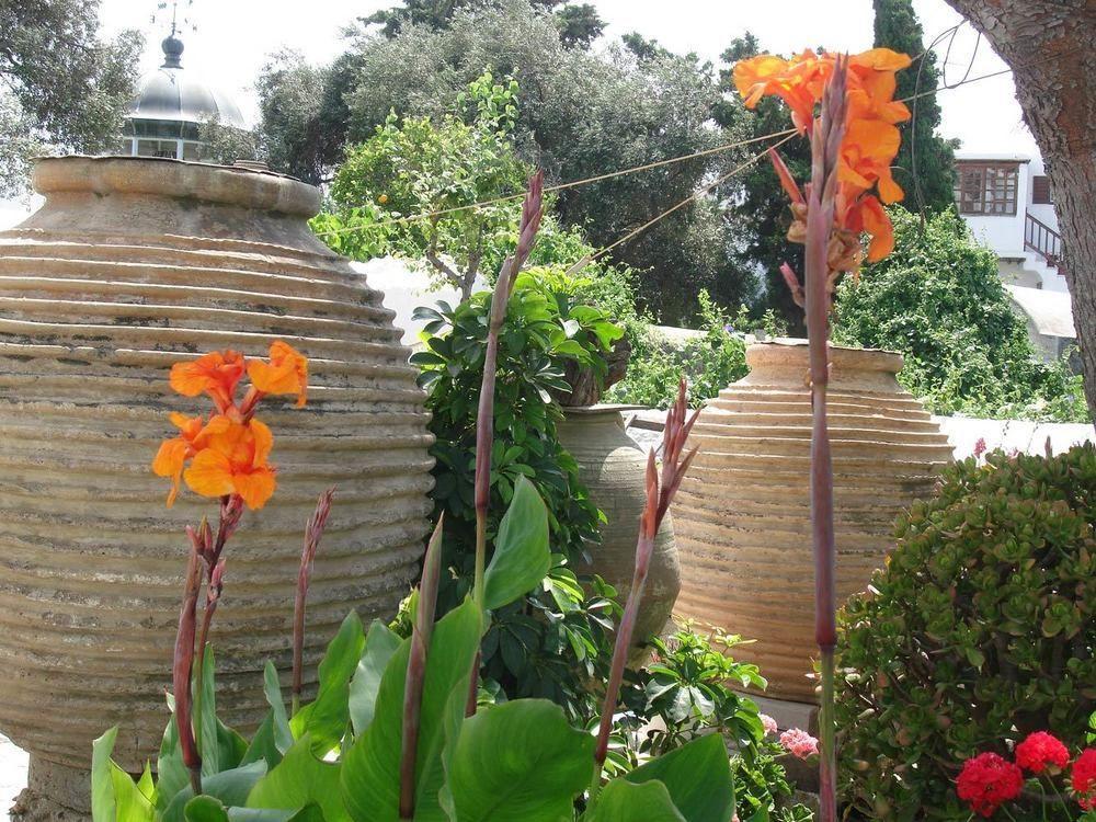 Hotel Philippi Mykonos Town 外观 照片